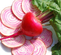 Beet Red